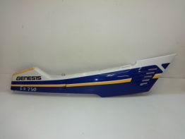 Rechter achterkant Yamaha FZ 750