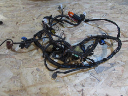 Wire Harness Suzuki GSF 650 Bandit