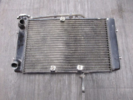 Radiateur Triumph Tiger 800