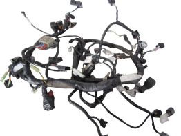 Wire Harness Kawasaki Z 750