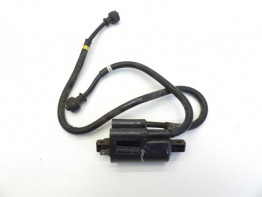 Bobine Suzuki GSX F 1100