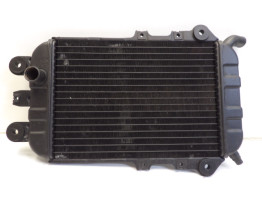 Radiator Kawasaki VN 700 750