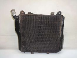 Kuhler Kawasaki GTR 1000