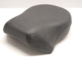 Buddy zadel Harley Davidson Sportster