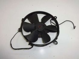 Fan Honda CBR 1000 F