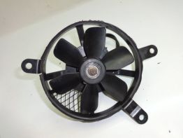 Fan Suzuki TL 1000