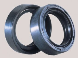 Voorpoten BMW R 1150 GS