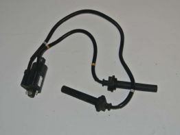 Zundspule Yamaha FJR 1300