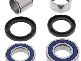 Remklauw Yamaha YZF R6