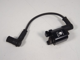 Bobine Ducati monster 696