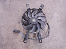 Fan Triumph Tiger 660 Sport