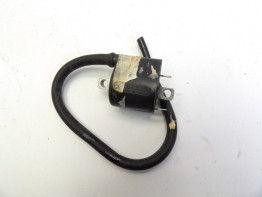 Zundspule Suzuki SV 1000