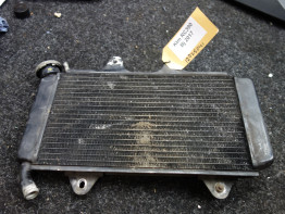 Radiateur KTM RC 390