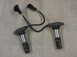 Bobine Aprilia Shiver 900