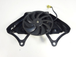 Fan Honda CBF 1000