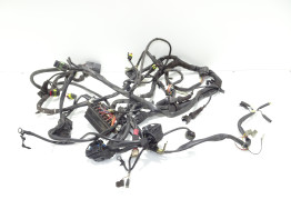 Kabelbaum Ducati monster 600