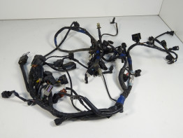 Wire Harness Triumph Tiger 1050