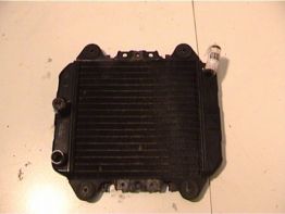 Radiateur Kawasaki ZZR 250