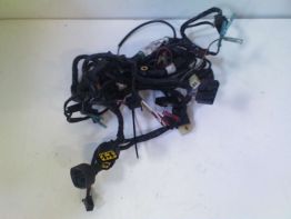 Wire Harness Kawasaki ZX 6 R