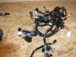 Kabelboom Kawasaki ER 6