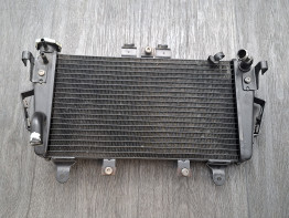 Radiateur Triumph Tiger 1050