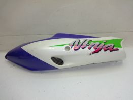 Heck links Kawasaki ZX 9 R