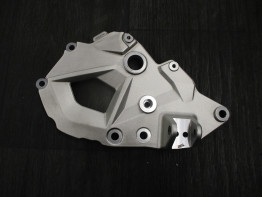 Fussrastetrager vorne links BMW F 750 GS