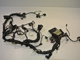 Wire Harness Kawasaki Z 750