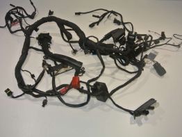 Kabelboom BMW R 1200 R