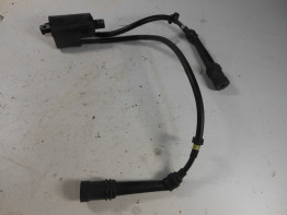 Zundspule Yamaha FAZER 600