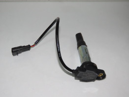 Bobine Moto Guzzi V 100 Mandello