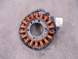 Dynamo Kawasaki ER 6