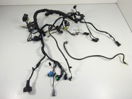 Wire Harness Kawasaki ER 6
