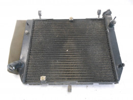 Kuhler Yamaha YZF R1