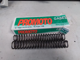 Other Aprilia RS 250