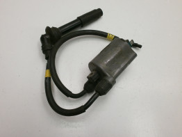 Zundspule Kawasaki ZXR 400