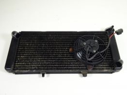 Radiateur Aprilia Caponord 1000