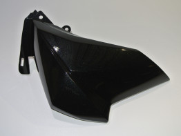 Seiten verkleidung links Kawasaki Z 800