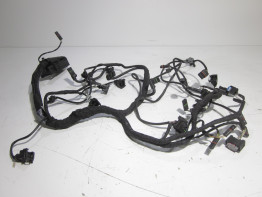 Wire Harness BMW S 1000 R