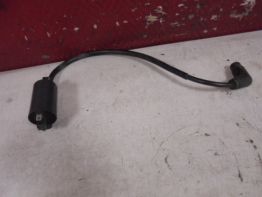 Bobine Aprilia Tuono 1000