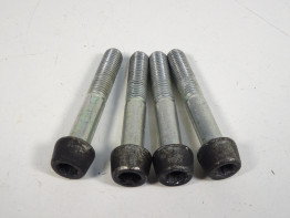 Remklauwen Ducati monster 1100