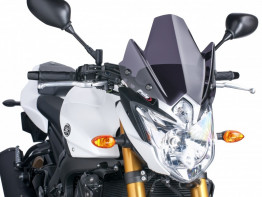 Kuipruit Yamaha FZ8