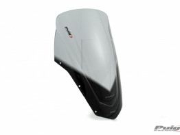 Scheibe Windschild Yamaha FZ6