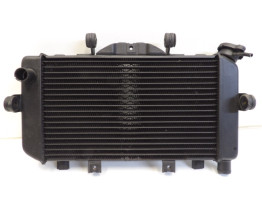 Radiateur Yamaha TDM