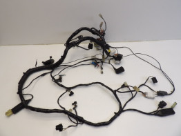 Kabelboom Triumph Trophy 900