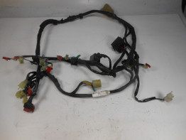 Kabelboom Honda CBR 600 F