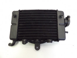 Radiateur Honda TRANSALP