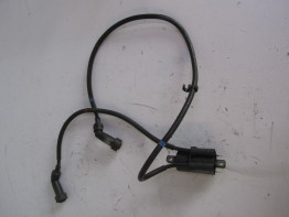 Bobine Yamaha XJ 900 S Diversion