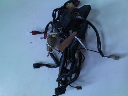 Wire Harness Honda CBR 600 F