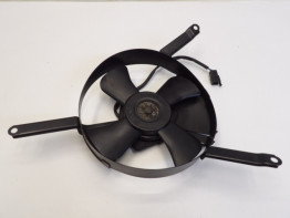 Fan Suzuki GSX R 750